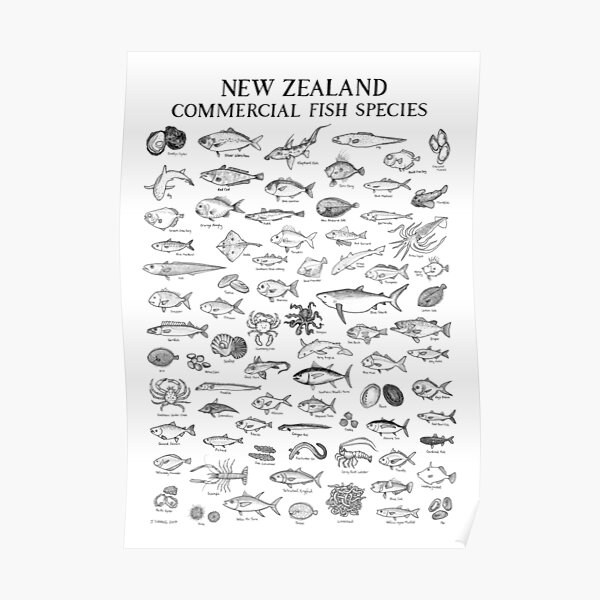 New Zealand Commercial Fish Sp - Commercial Wallpaper Printing recension och pris